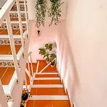 Casa El Grande * 托雷维耶哈
